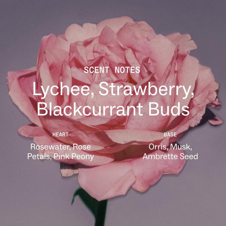 Touchland Blush Rose Body & Hair Fragrance Mist