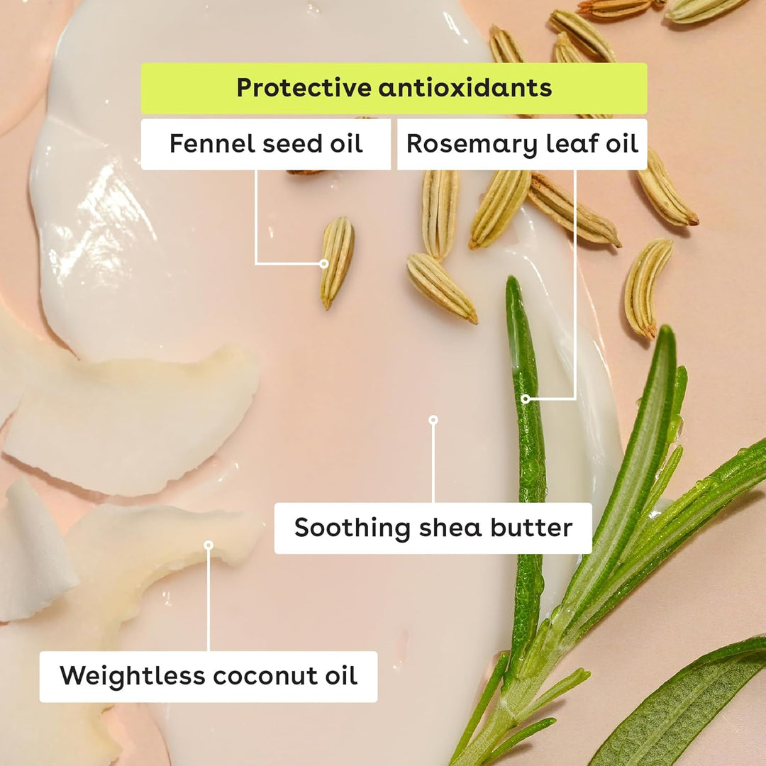 eos Holiday Lip Balm Spheres Sugar Plum Spritz, Candy Apple Sphere, Candy Cane Swirl