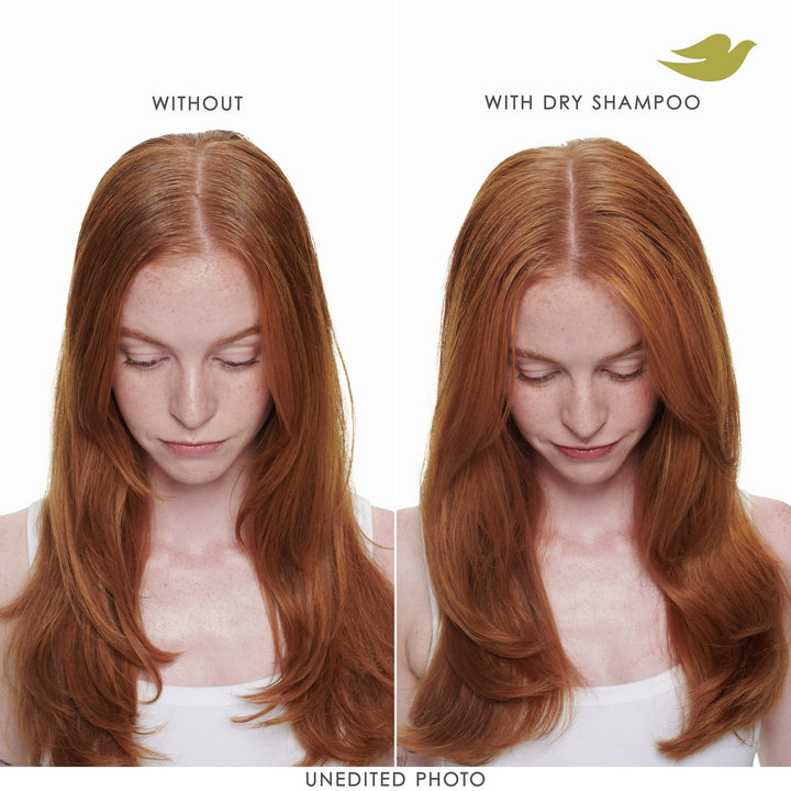 Dove Advanced Repairing Dry Shampoo, Fresh Coconut