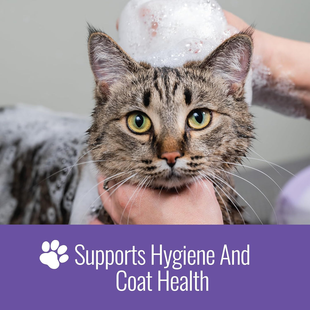 Nizoral Medicated Pet Shampoo with 1% Ketoconazole + 2% Chlorhexidine