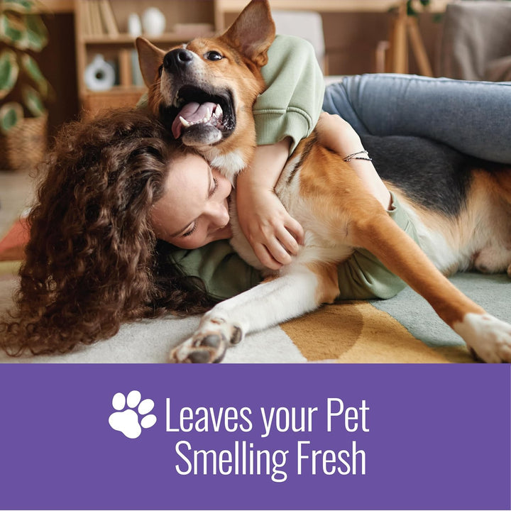 Nizoral Medicated Pet Shampoo with 1% Ketoconazole + 2% Chlorhexidine