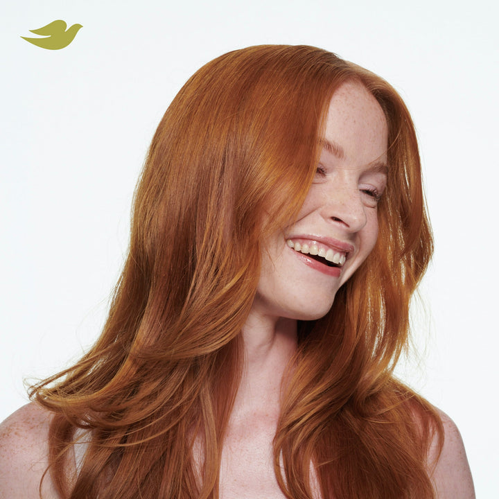 Dove Advanced Dry Shampoo Refresh & Revive Hair Fresh Coconut