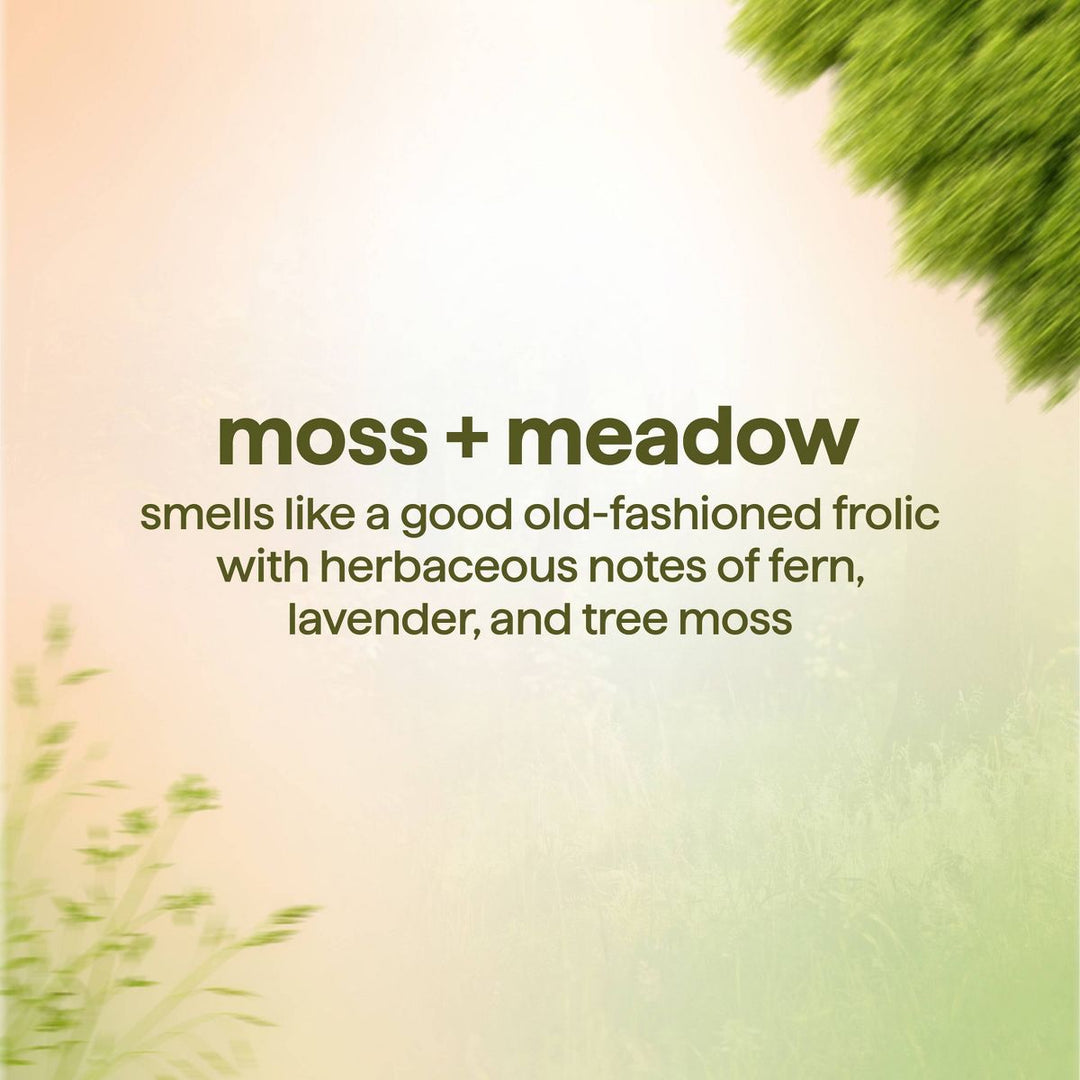 Method Men Moss + Meadow Moisturizing Body Wash